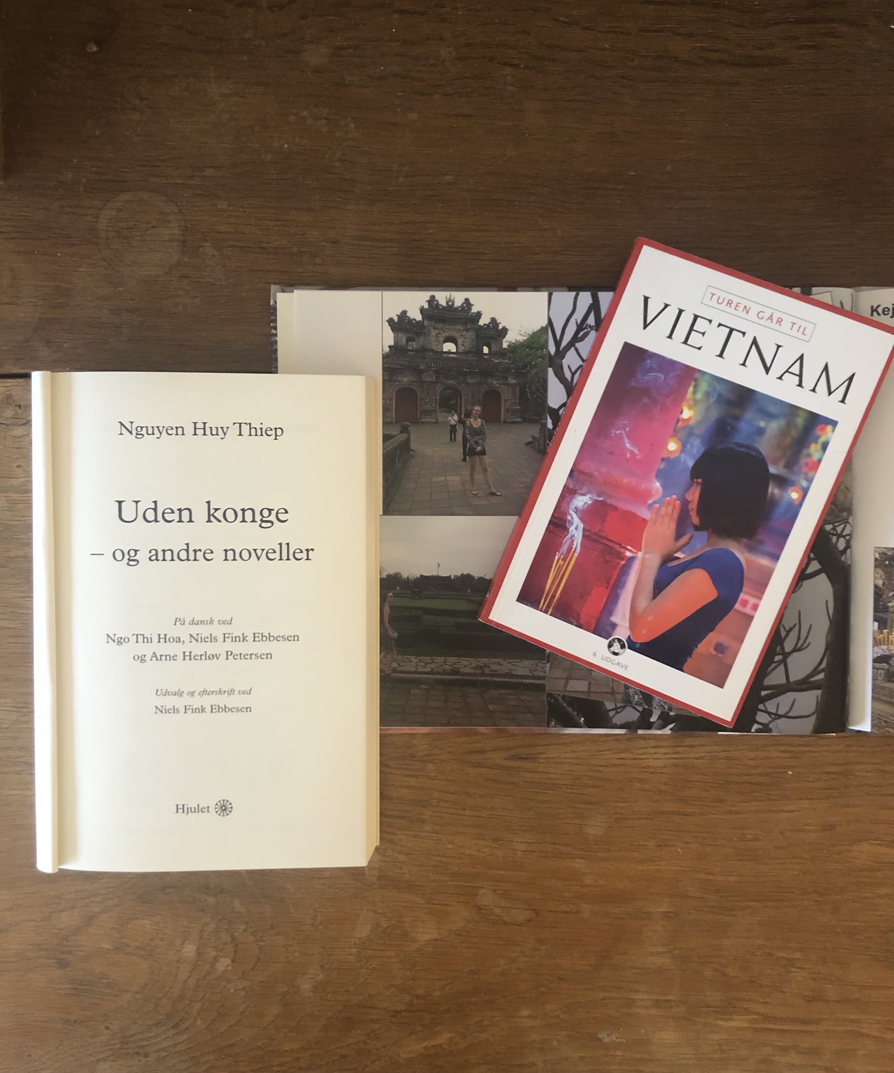 Bogtanken rejser Vietnamesisk litteratur